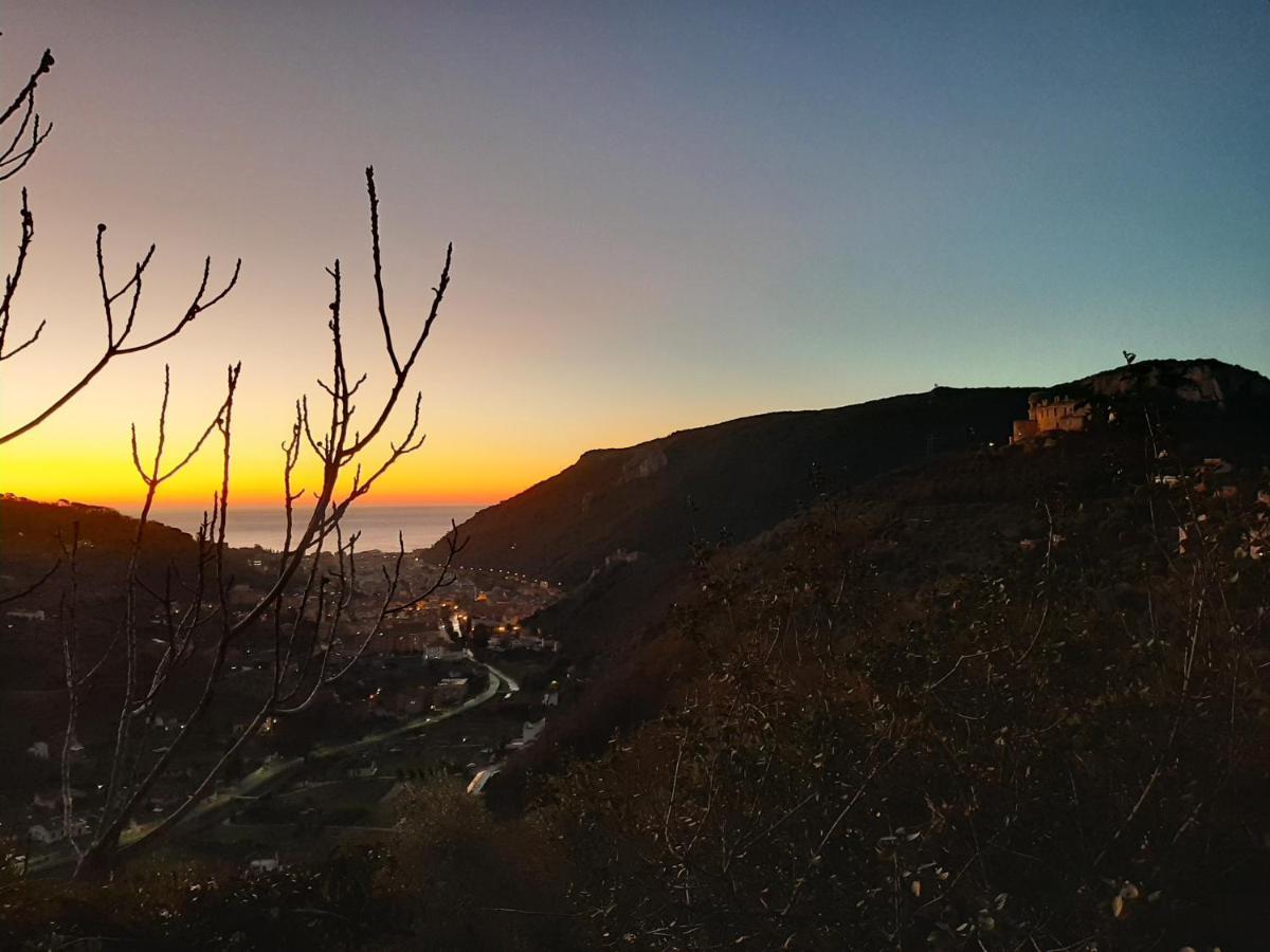 Agriturismo Alveare 菲纳莱利古雷 外观 照片