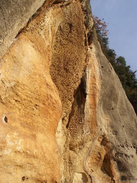 Agriturismo Alveare 菲纳莱利古雷 外观 照片