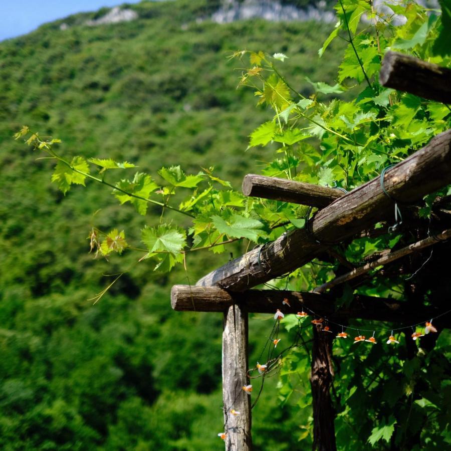 Agriturismo Alveare 菲纳莱利古雷 外观 照片