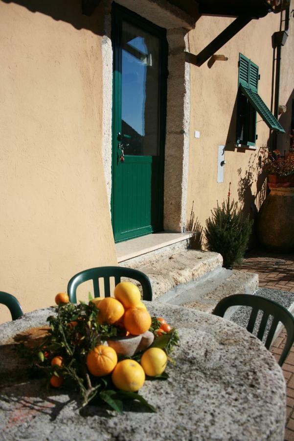 Agriturismo Alveare 菲纳莱利古雷 外观 照片