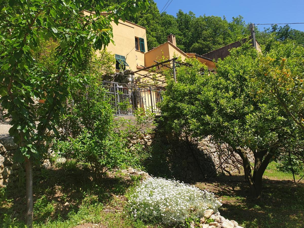 Agriturismo Alveare 菲纳莱利古雷 外观 照片